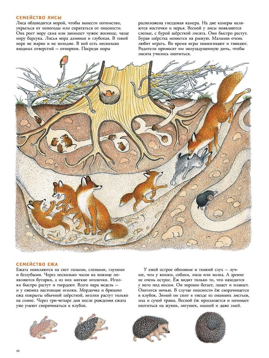 Петр Багин в лесу