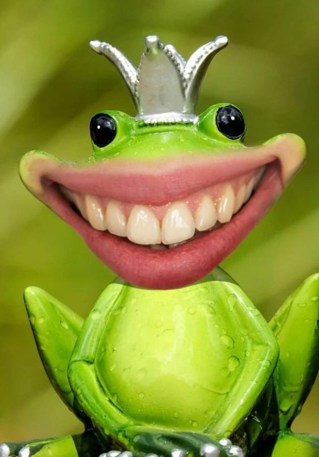 Улыбка лягушки