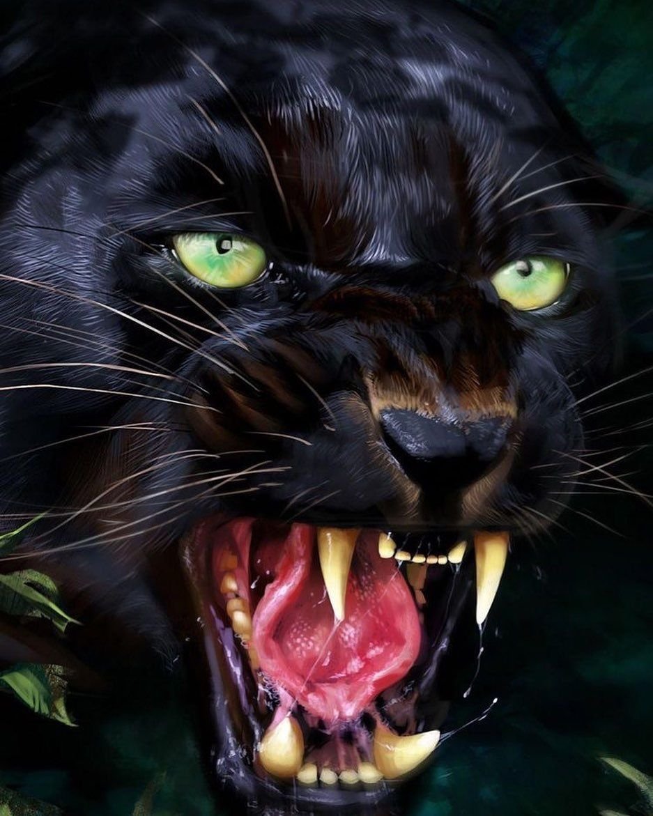 Пума черная