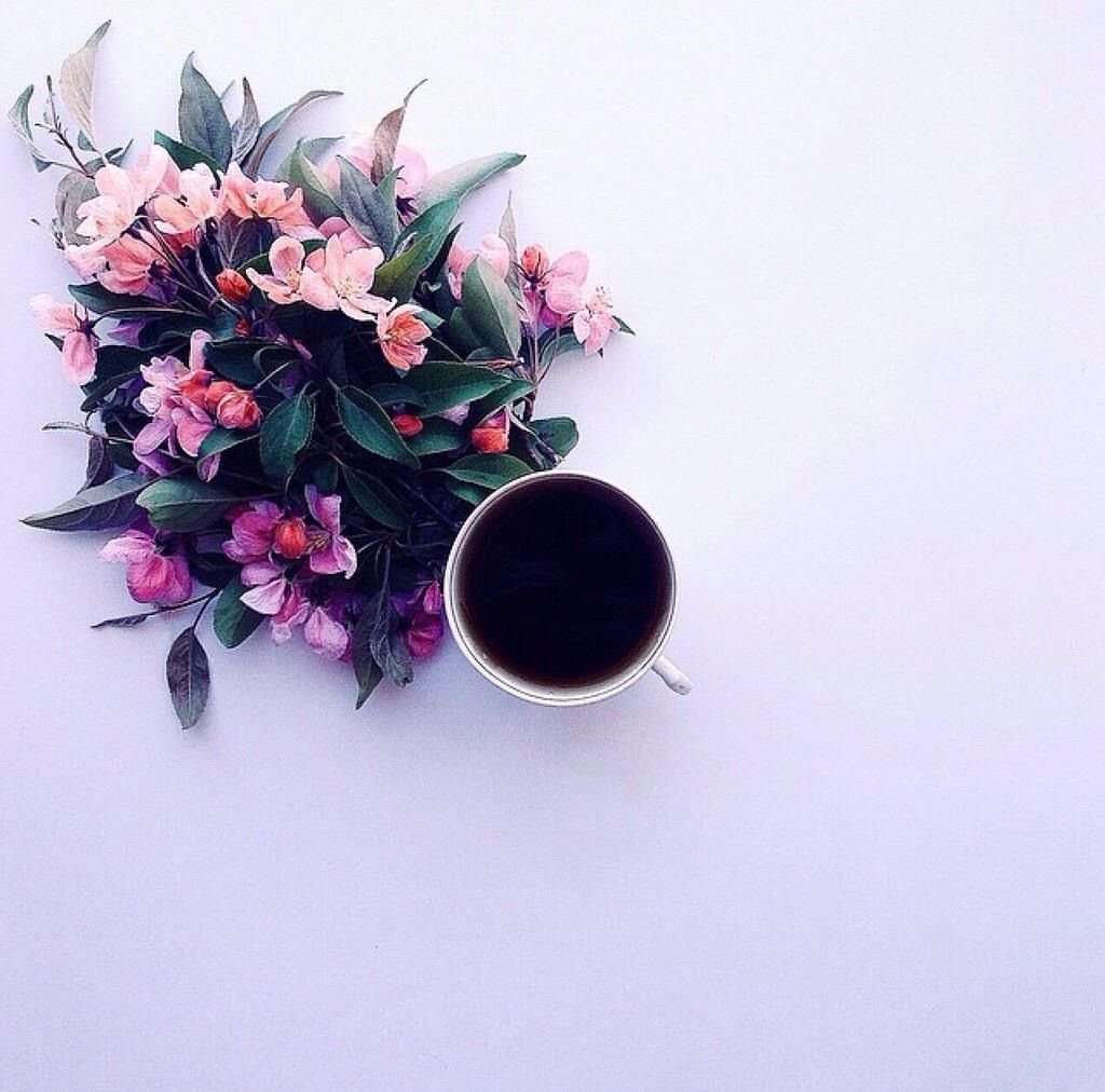 Свободное время для записи