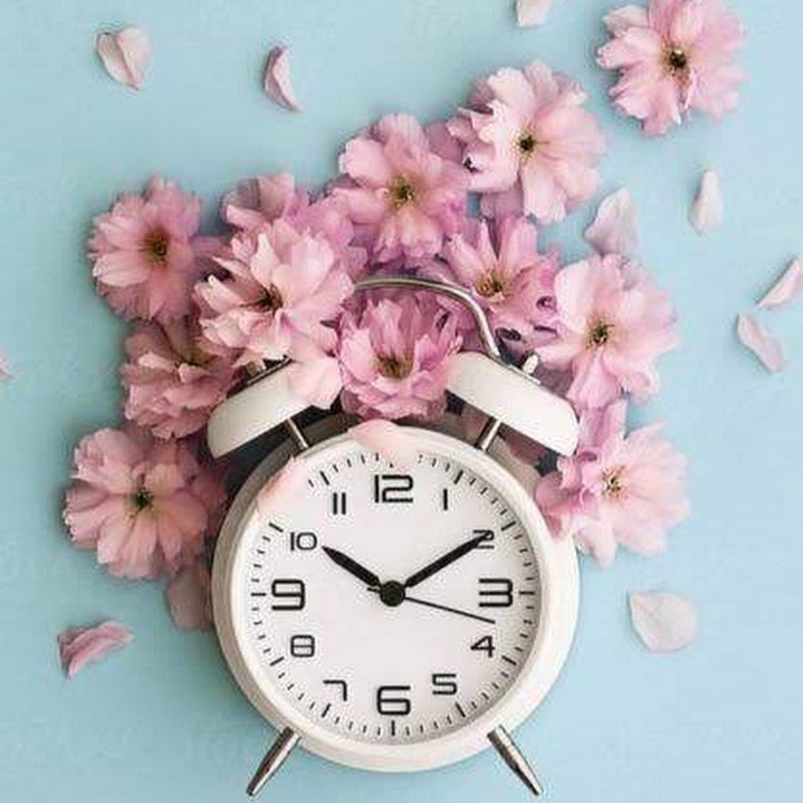 Свободные окошки