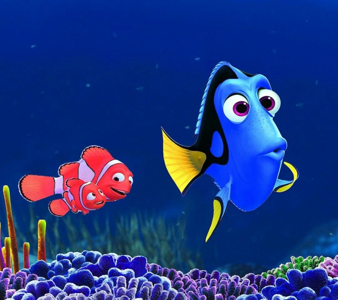 Рыба дори из Немо