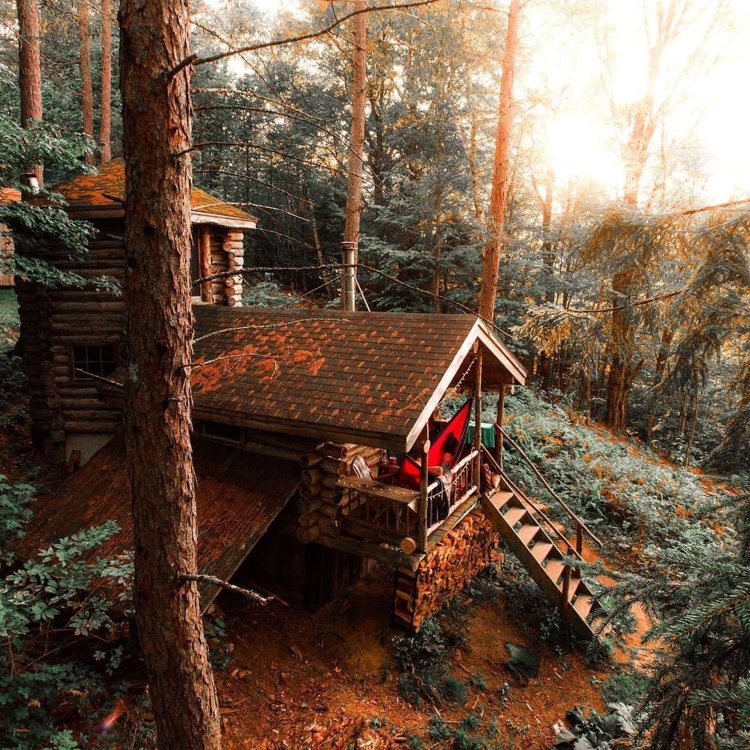 Друскининкай лес избушка