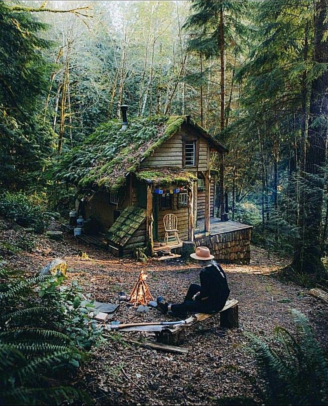 Друскининкай лес избушка