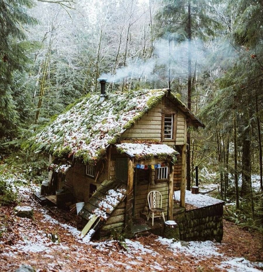 Друскининкай лес избушка