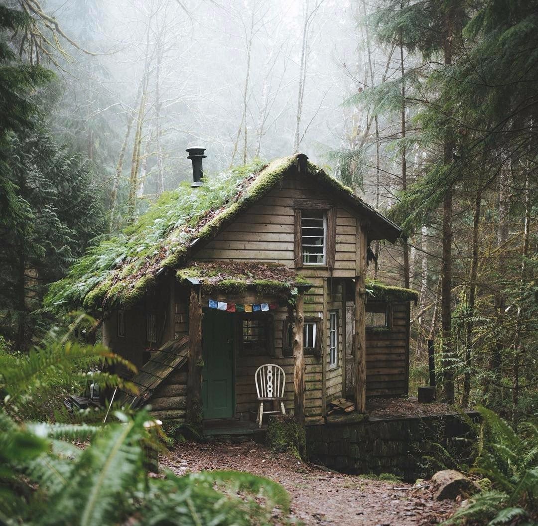 Избушка в зимнем лесу