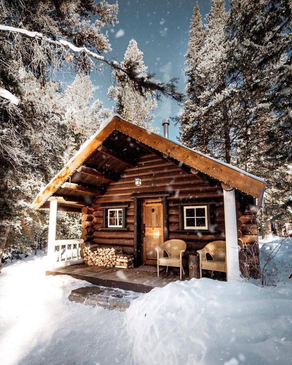 Друскининкай лес избушка