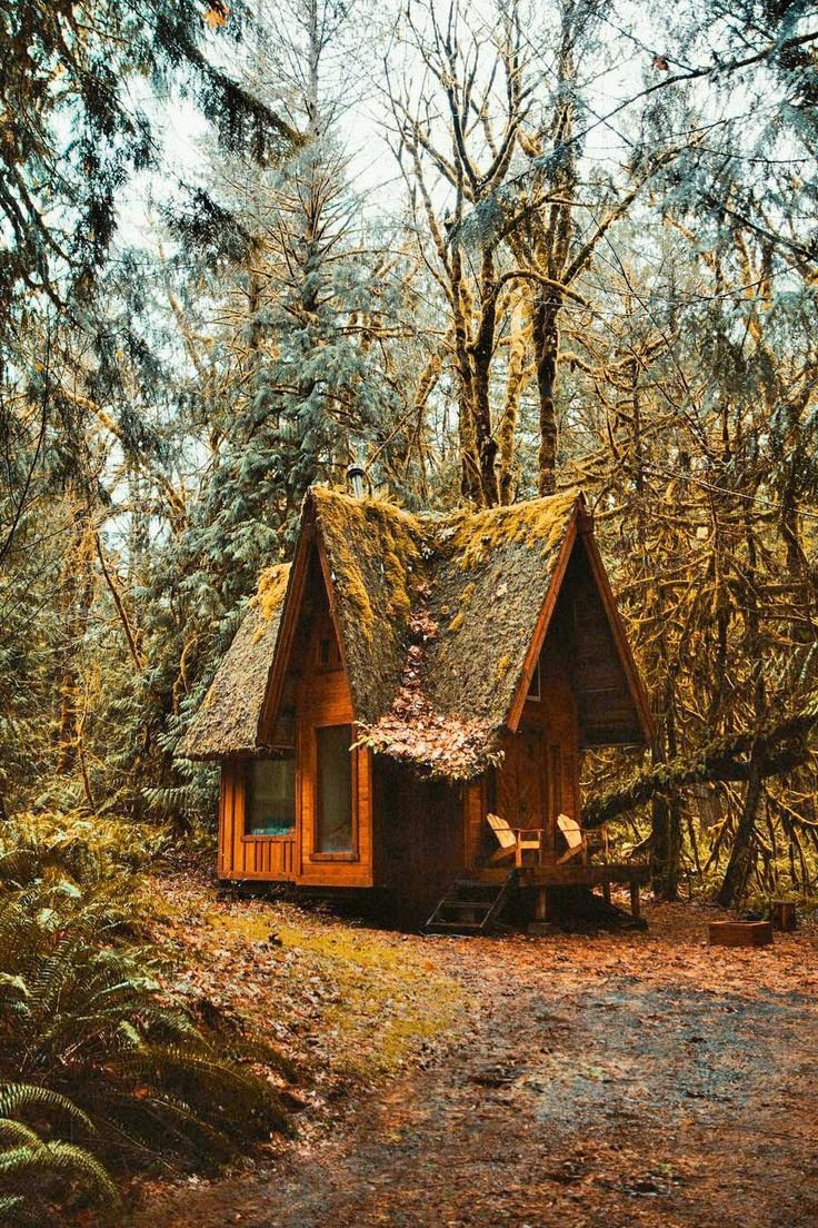 Тихий домик в лесу