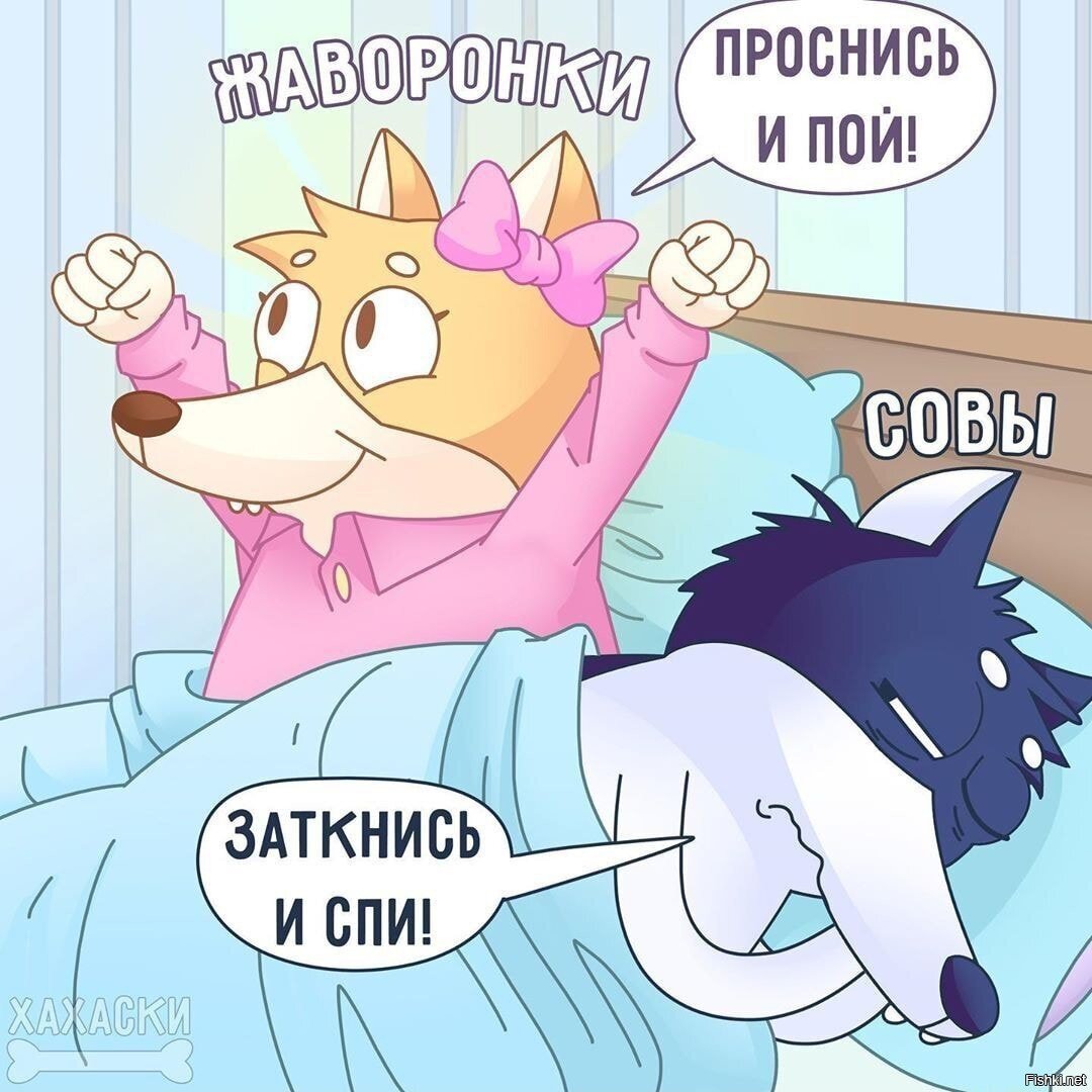 Проснись и пой заткнись и спи