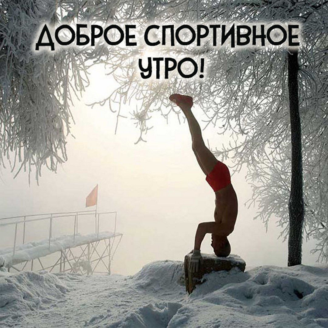 Я В этом шарю