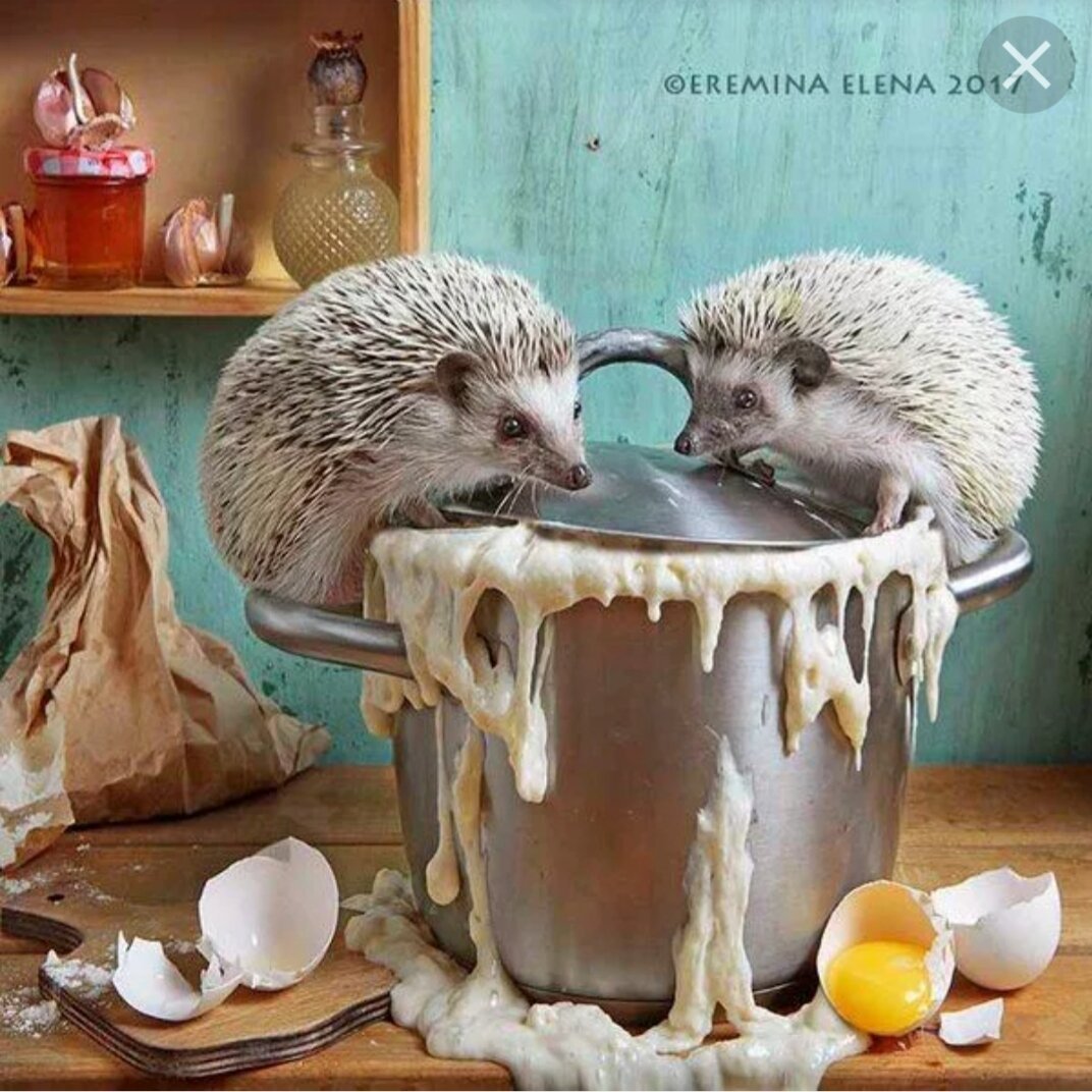 Ёжики Елены Ерёминой 2020