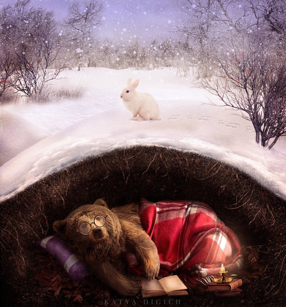 Медвежья Берлога зимой