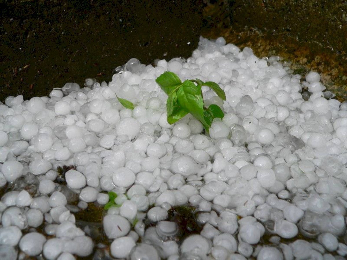 Крупный град