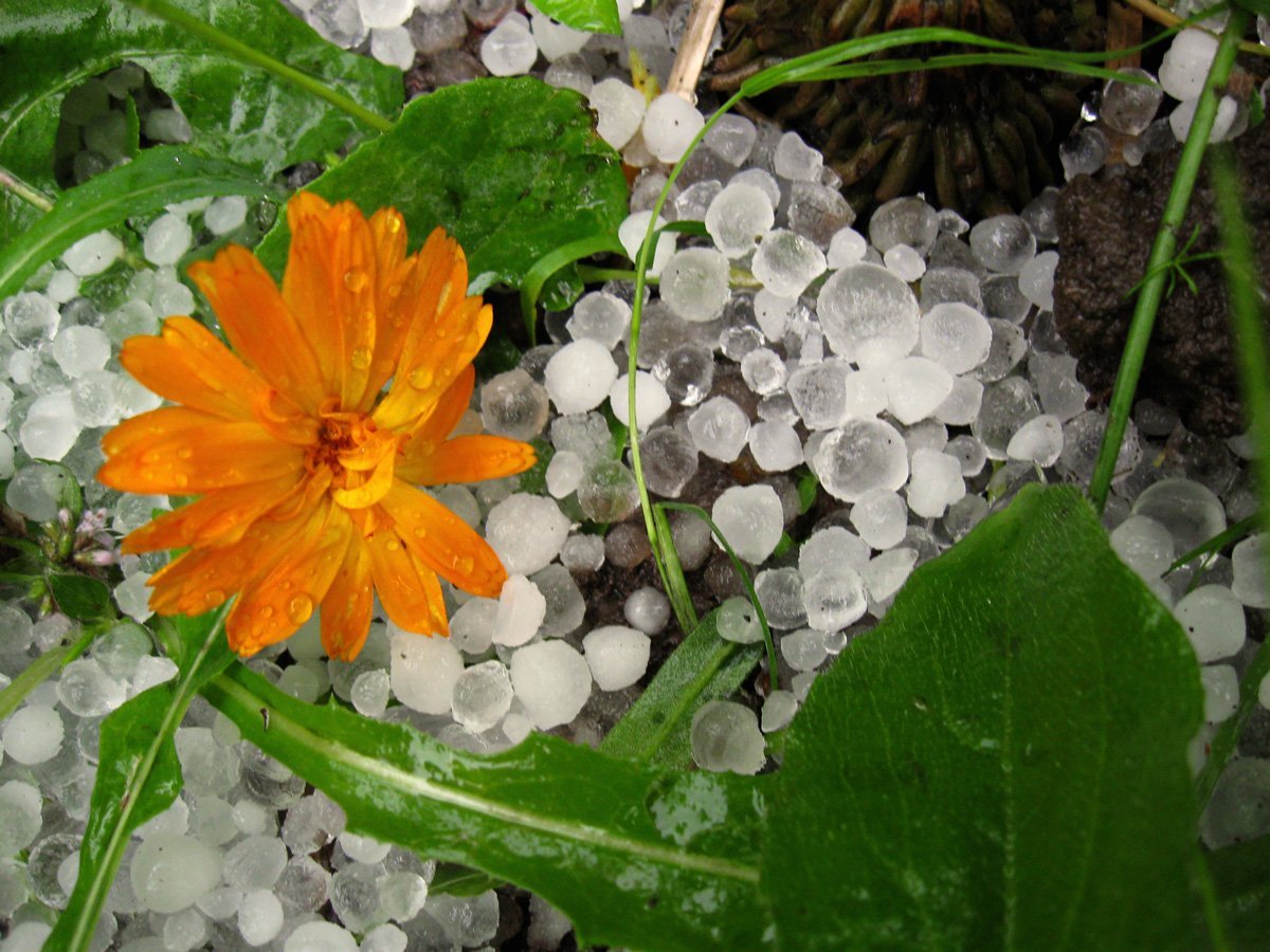 Град весной