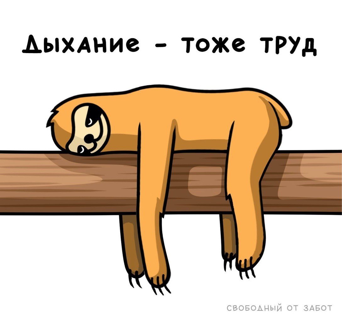 Смешной Ленивец