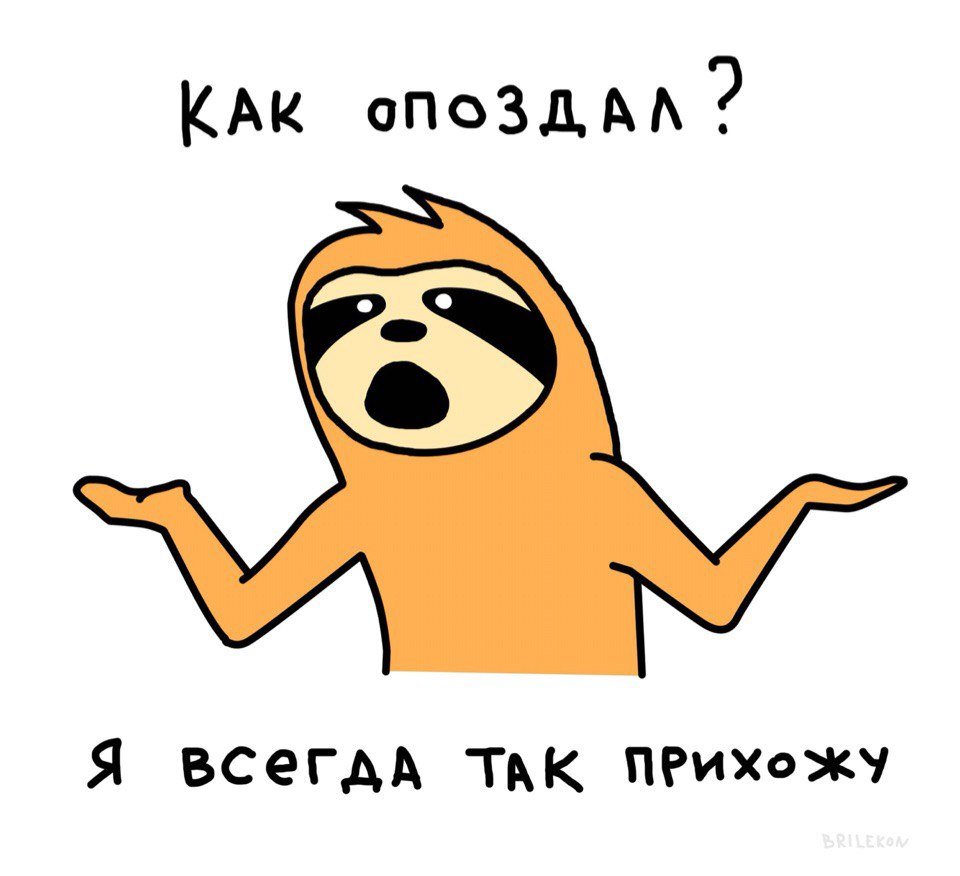 Ленивец с надписью