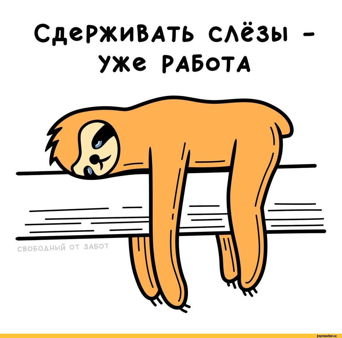 Ленивец открытка с днем рождения