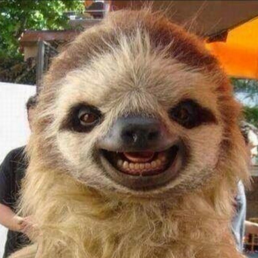 Ленивец смайлик