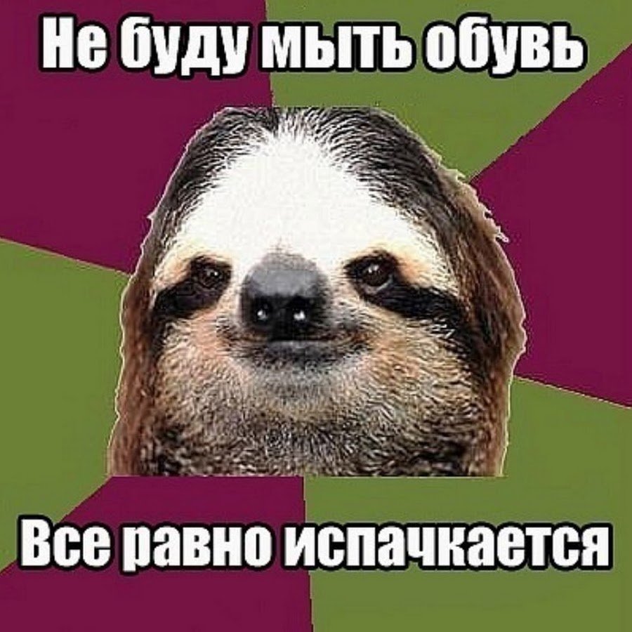 Свободный от забот Мем