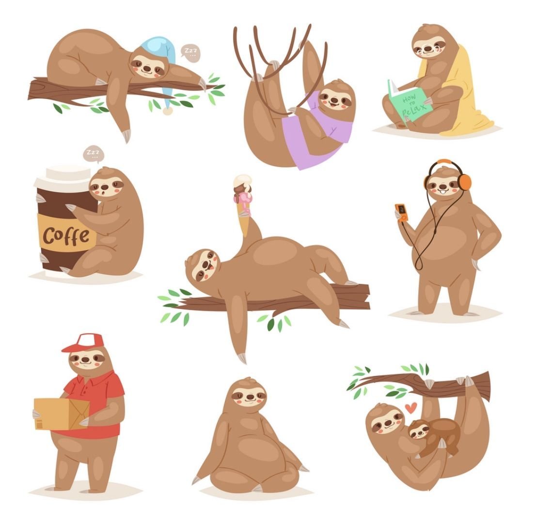 Ленивец Джо