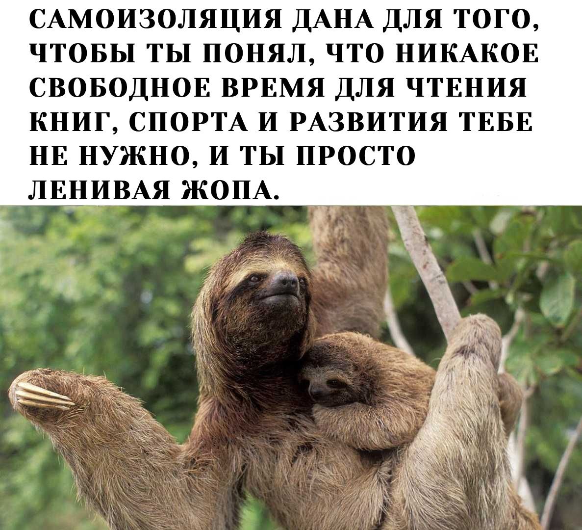 Стикеры ВК Свободный от забот