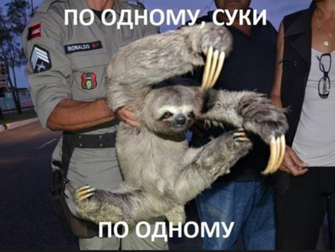 Свободный от забот Мем