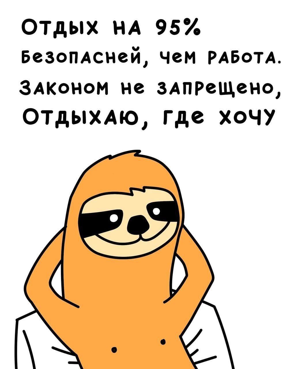 Ленивец картинки