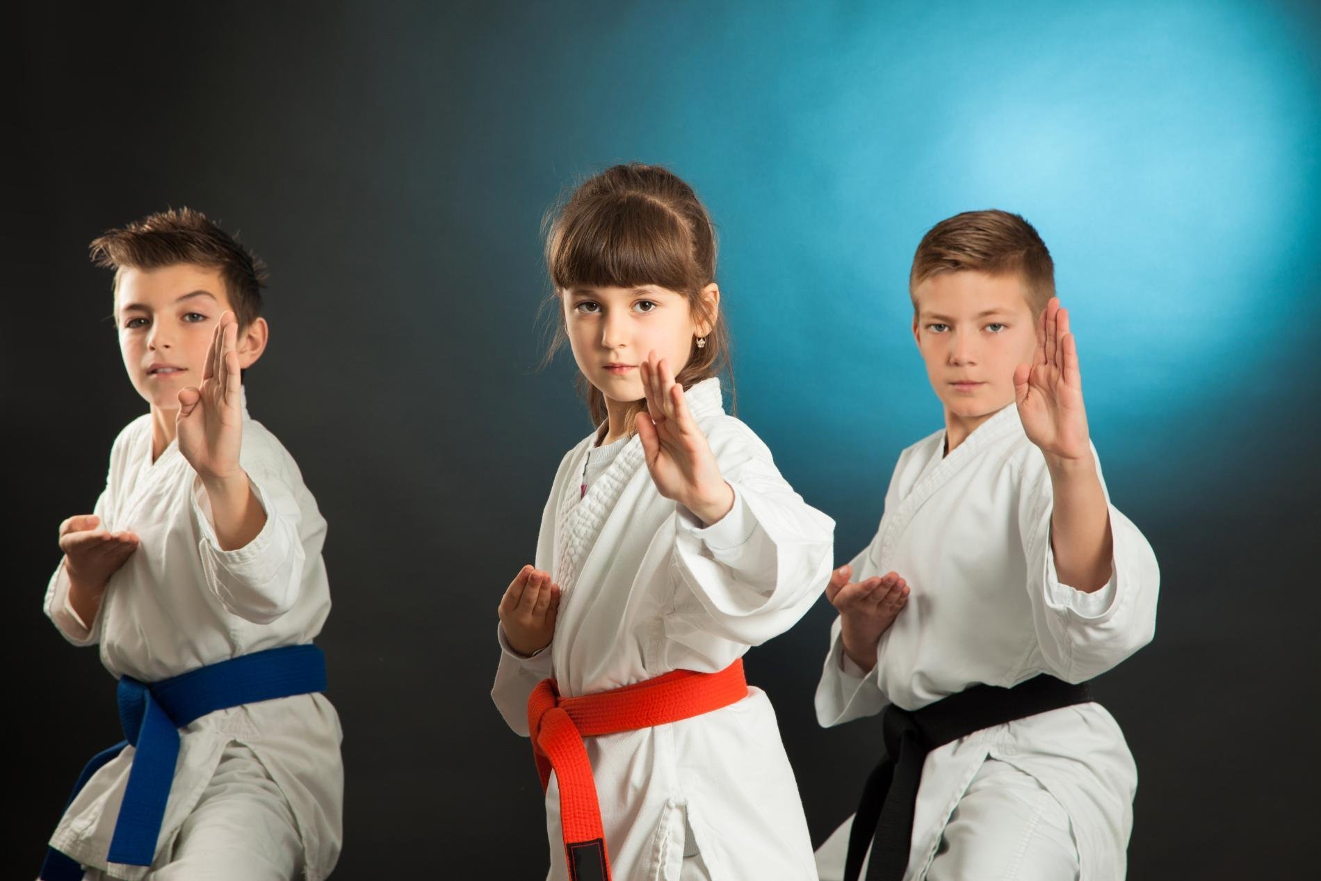 Боевые искусства семей. Kid Karate группа. Восточные единоборства для детей. Дети каратисты. Спорт карате.