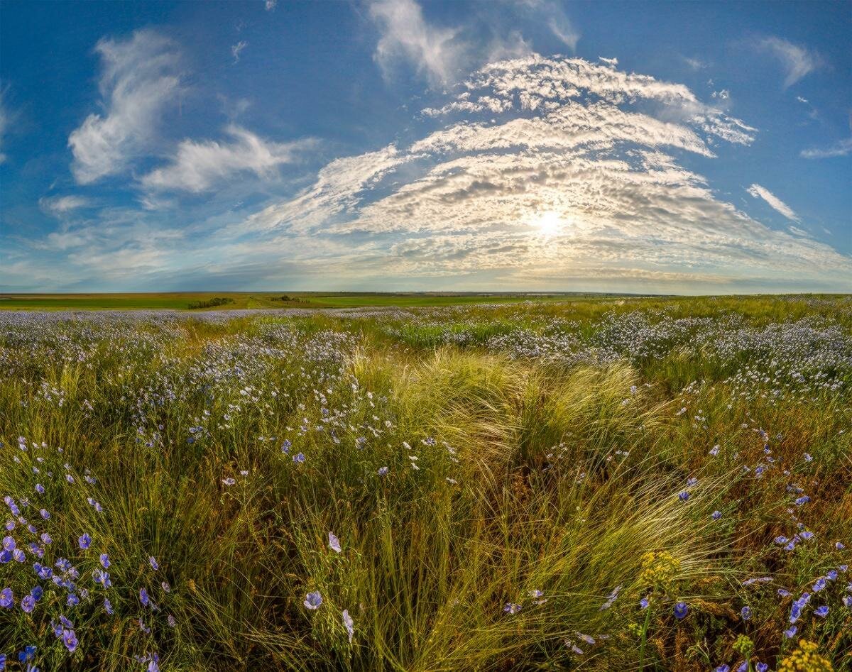 Майэмирская степь