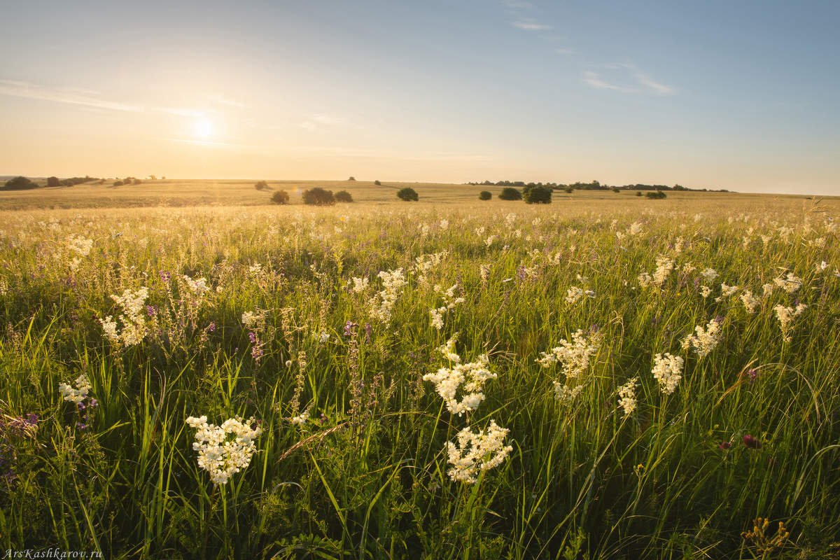 Ямская степь Белогорье