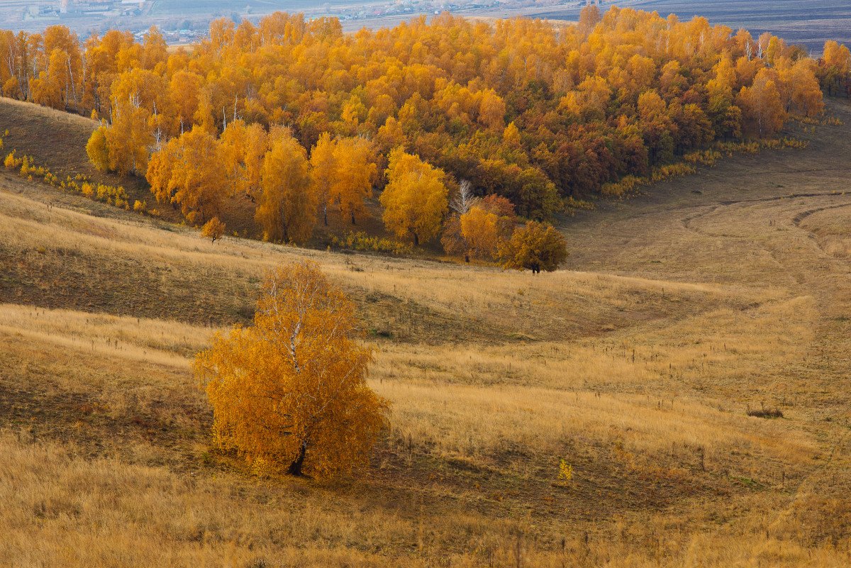 Осенний Чатыр-Тау