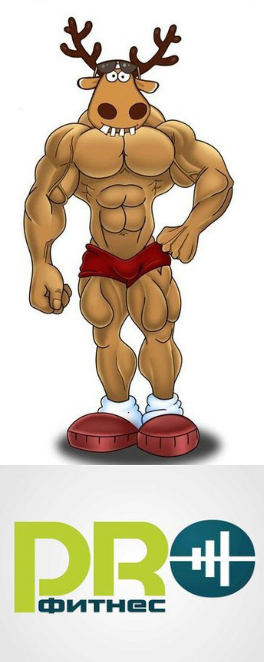 Олень качок