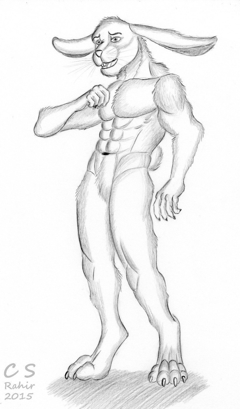 Фурри заяц самец