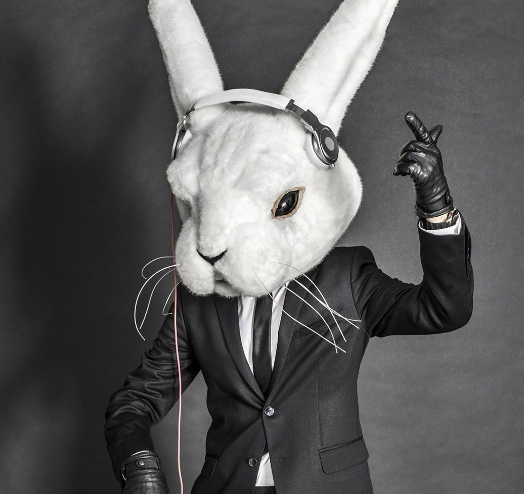 Крутой заяц