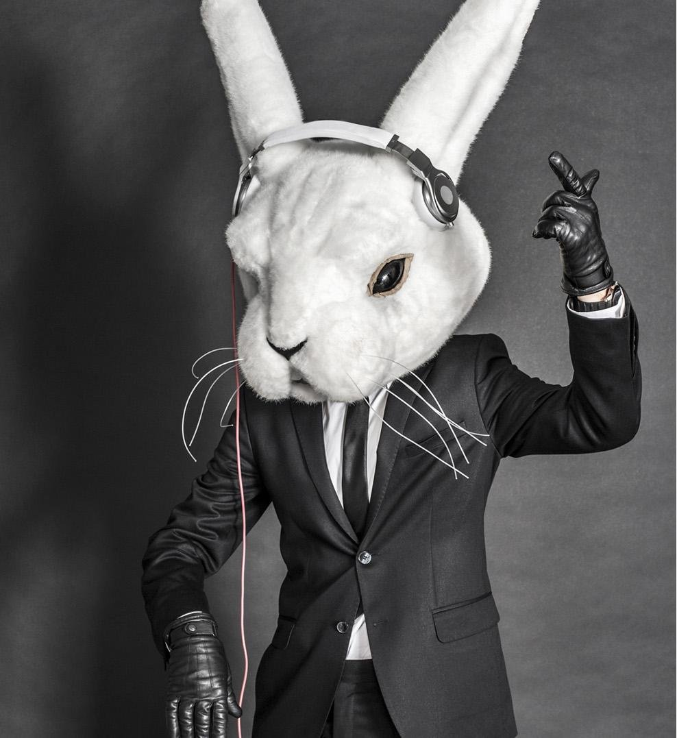 Лицо крутого зайки