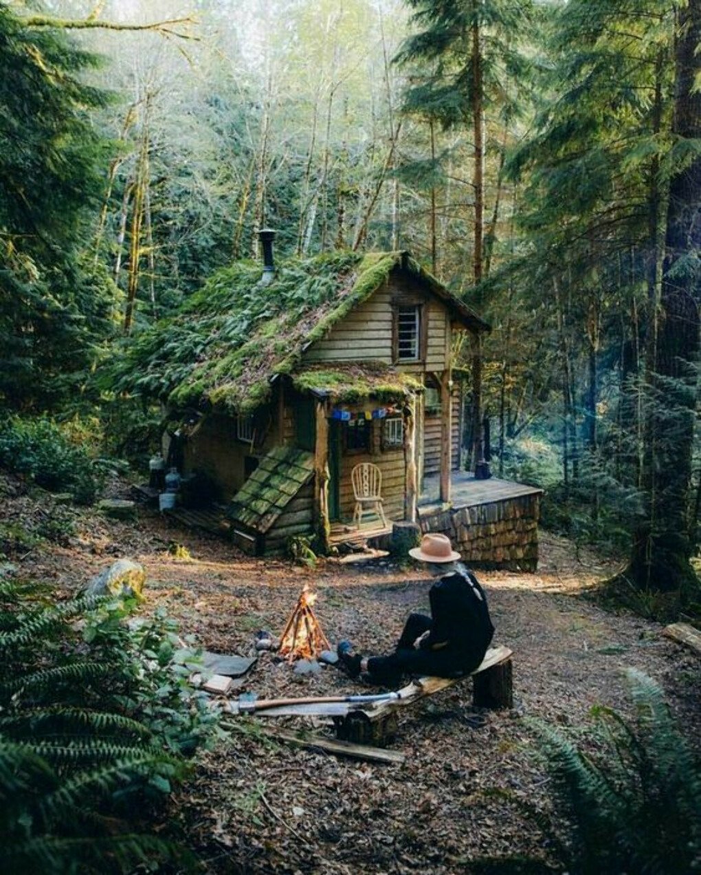 Сосновый лес изба скит Торжок