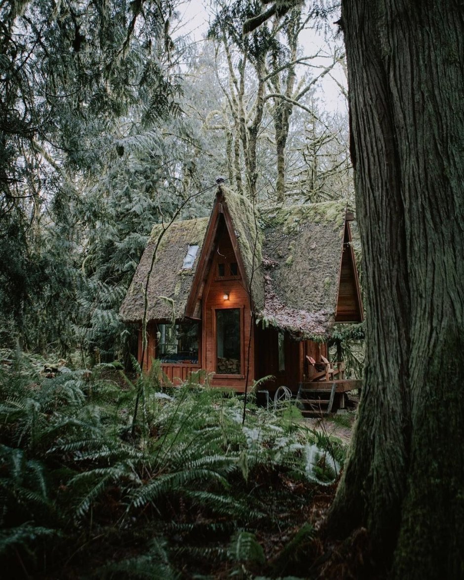 Klamath Falls Хижина чудес