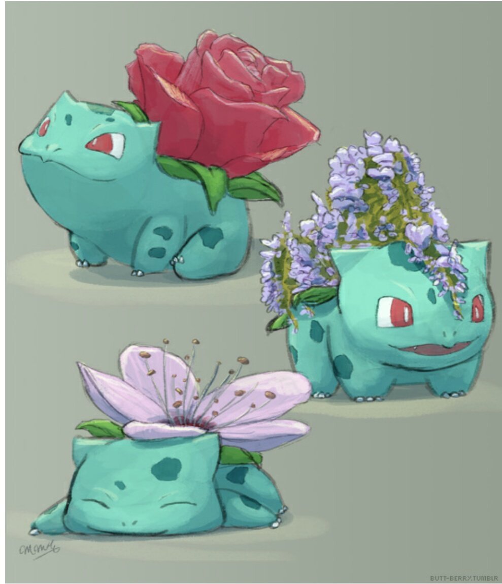 Карточки покемон Бульбазавр