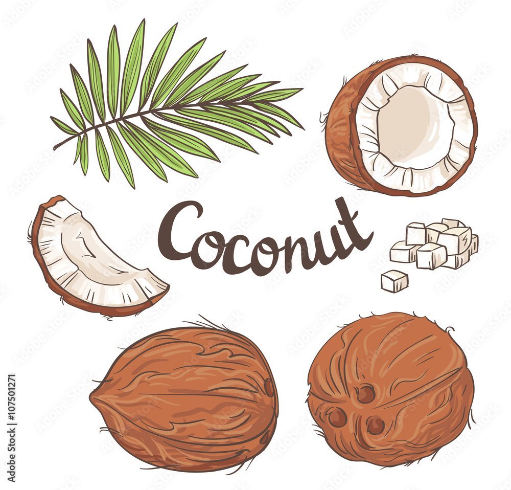 Наклейки Кокос