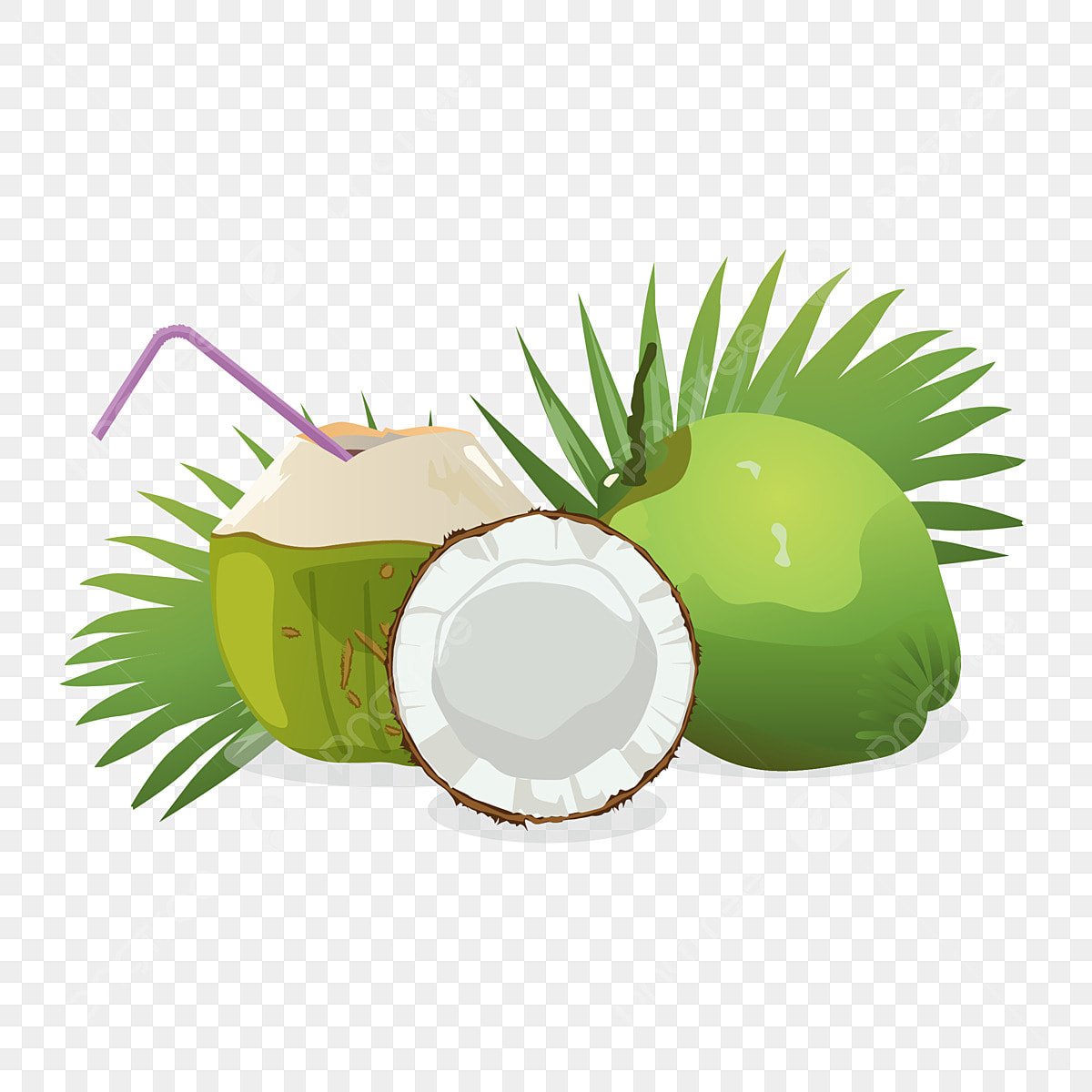 RGB Coconut