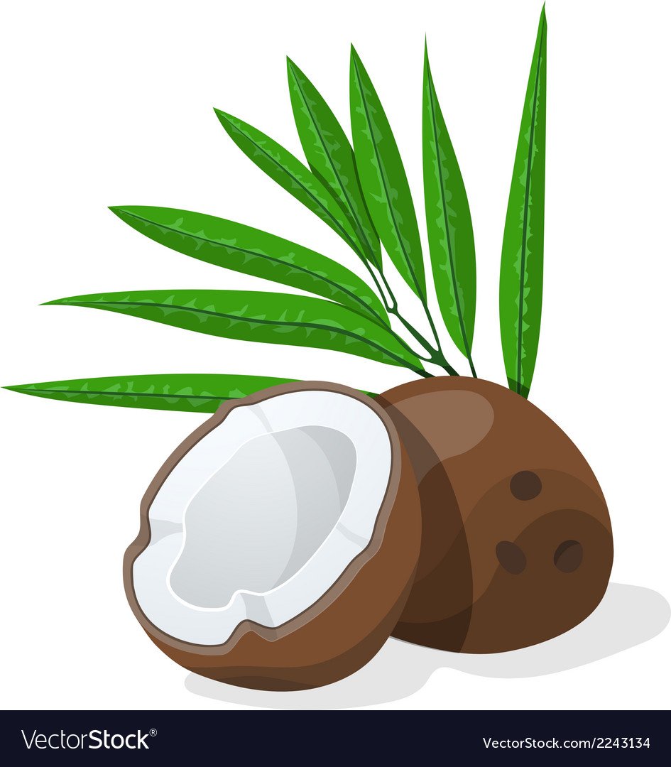 Эмблема Кокос