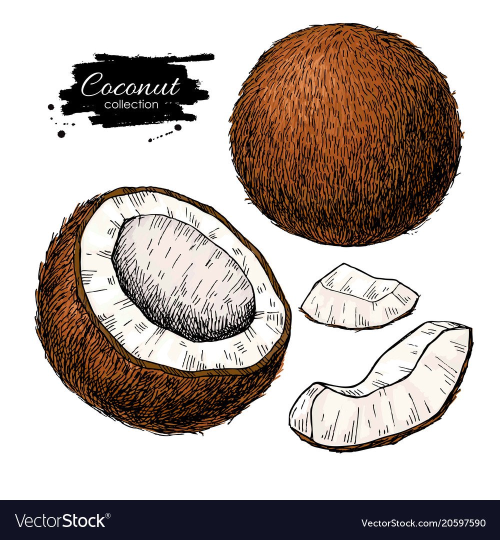 Обои на телефон Кокос