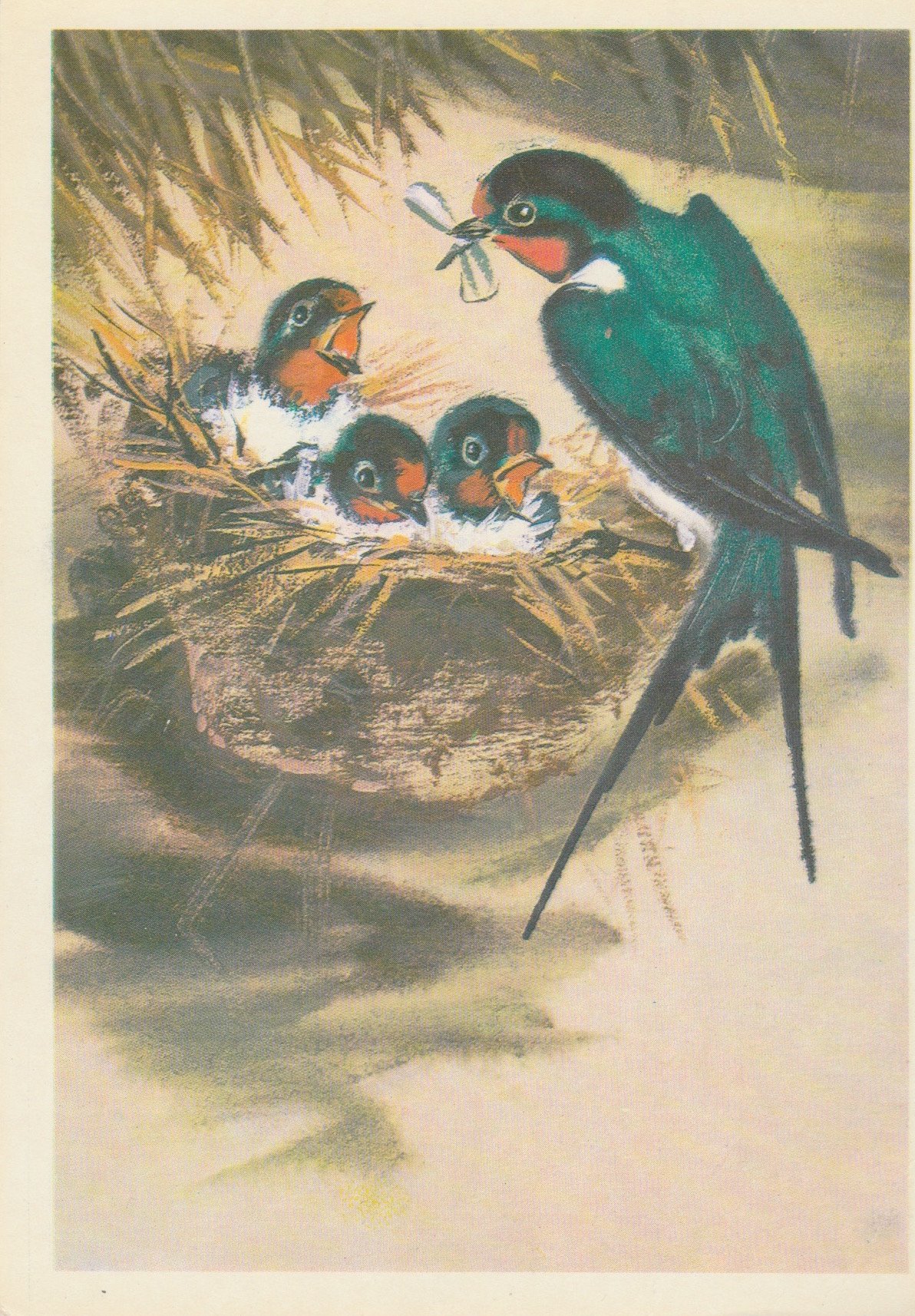 Картина гнездо ласточки