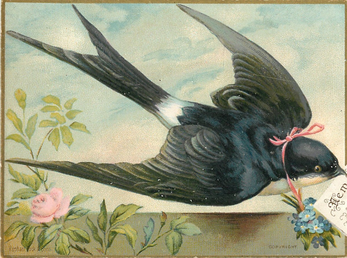 Изображение ласточки