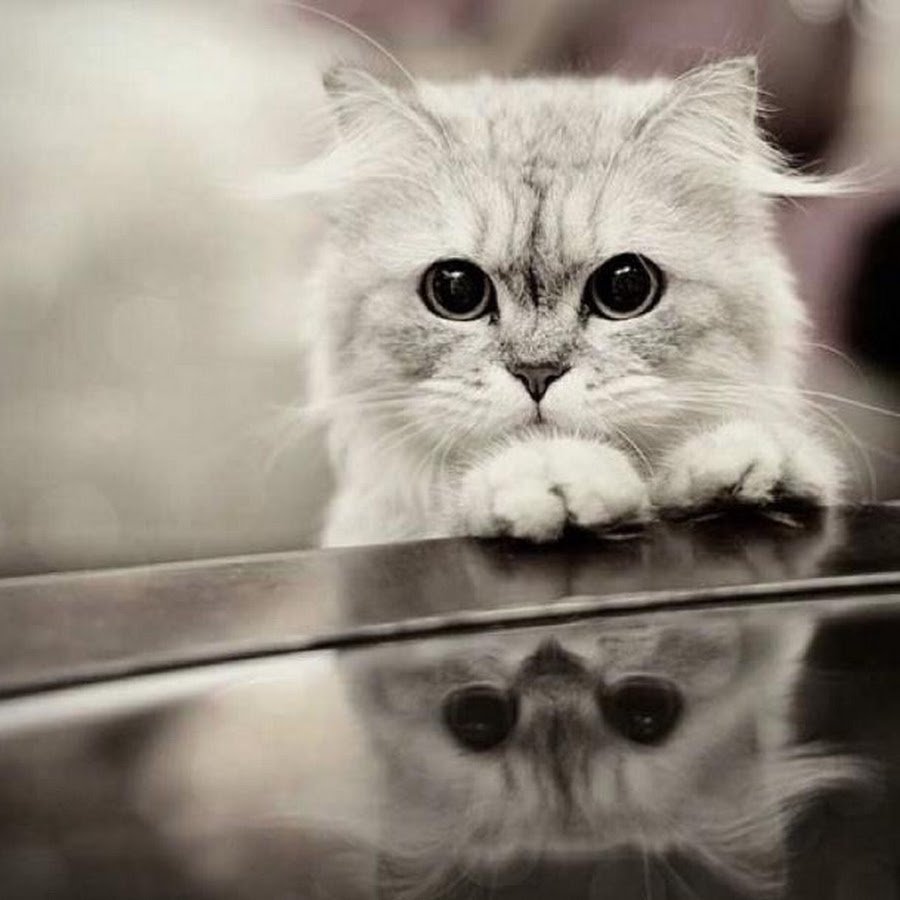 Открытки мне грустно