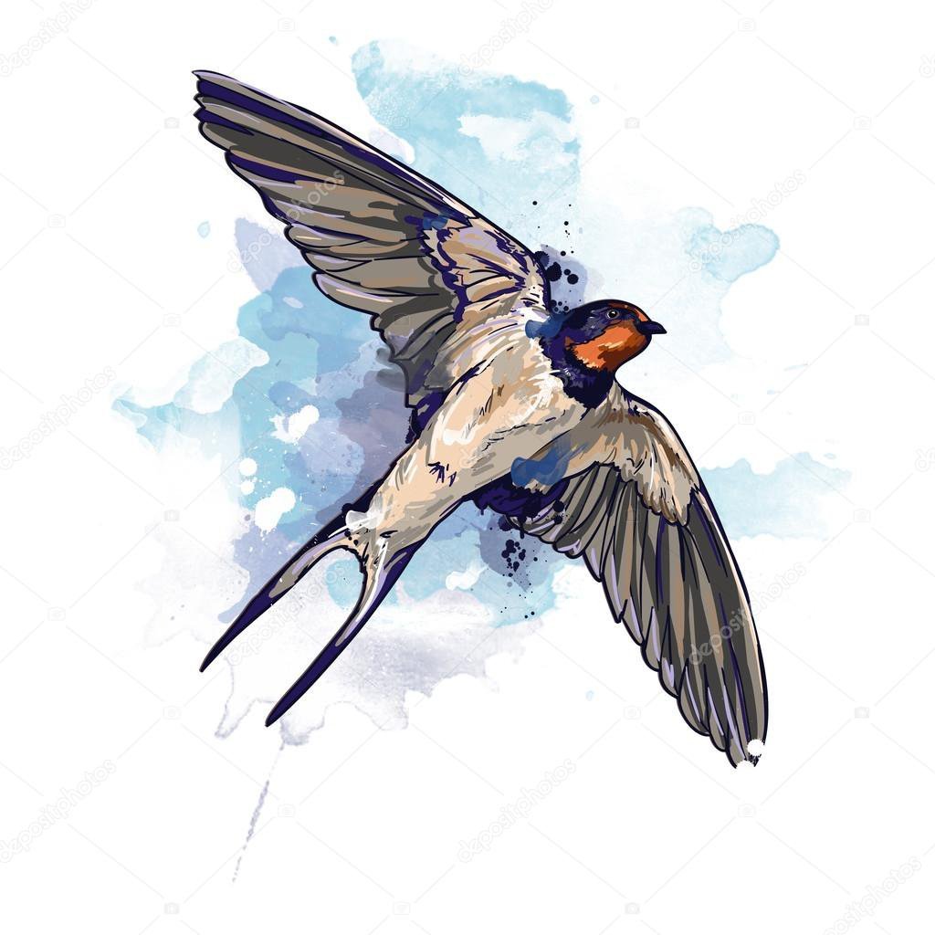 Ласточки в полете акварель