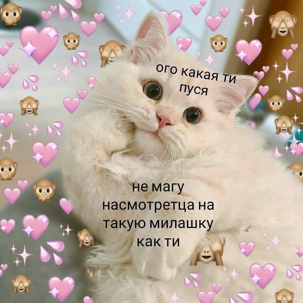 Привет как ты