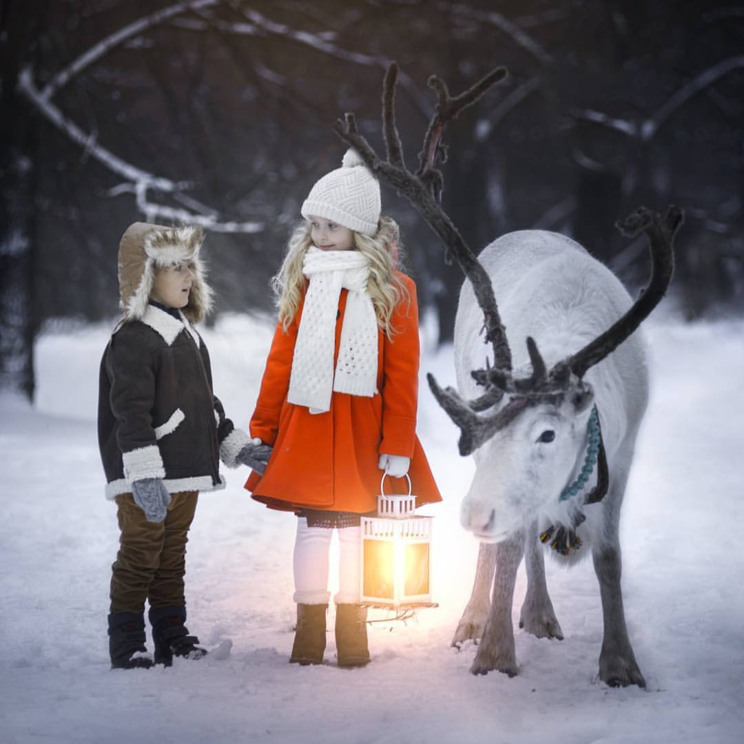 Северный олень Свен