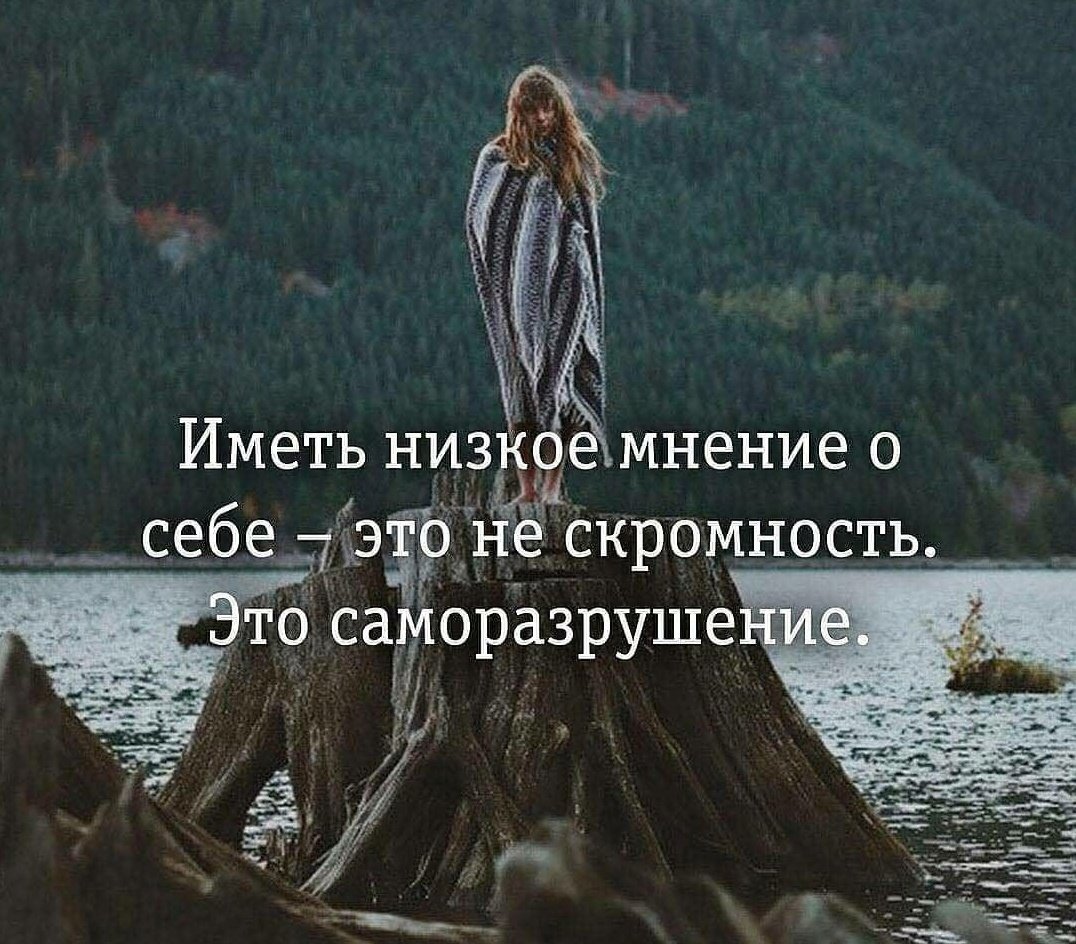 Скромность цитаты