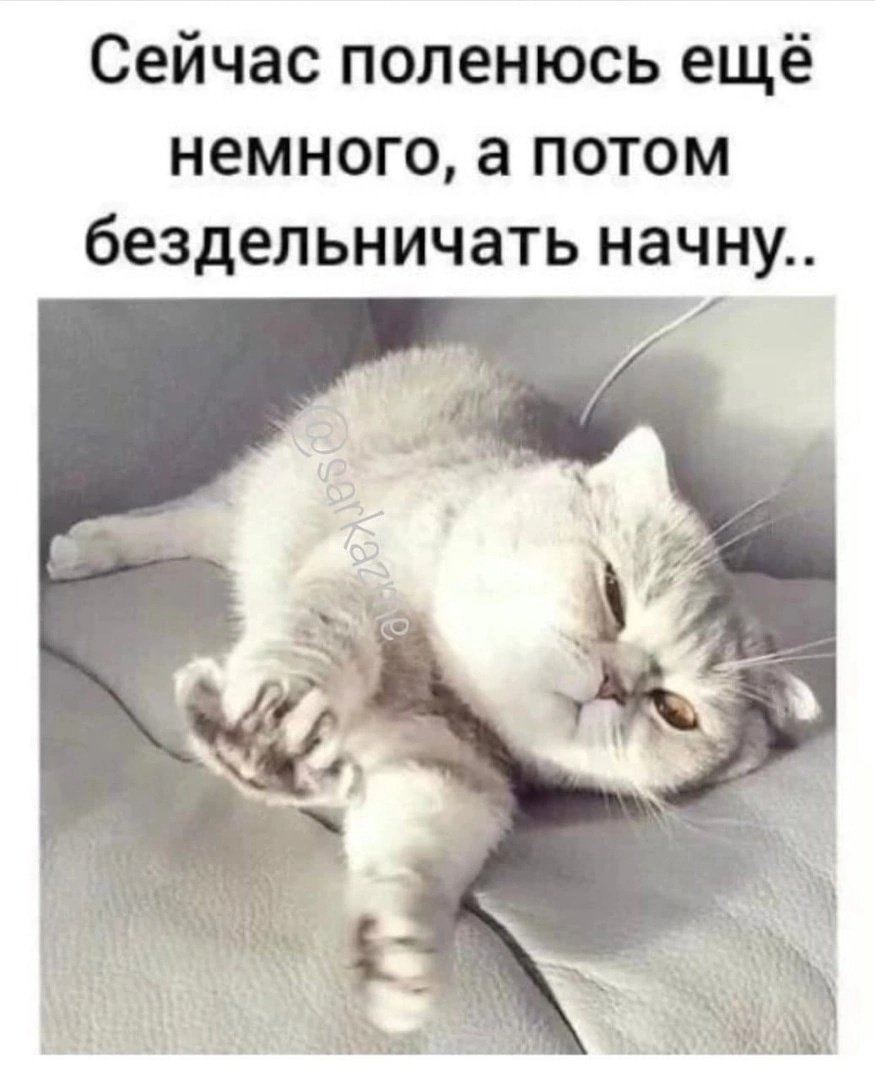 Проснулись потянулись с добрым утром